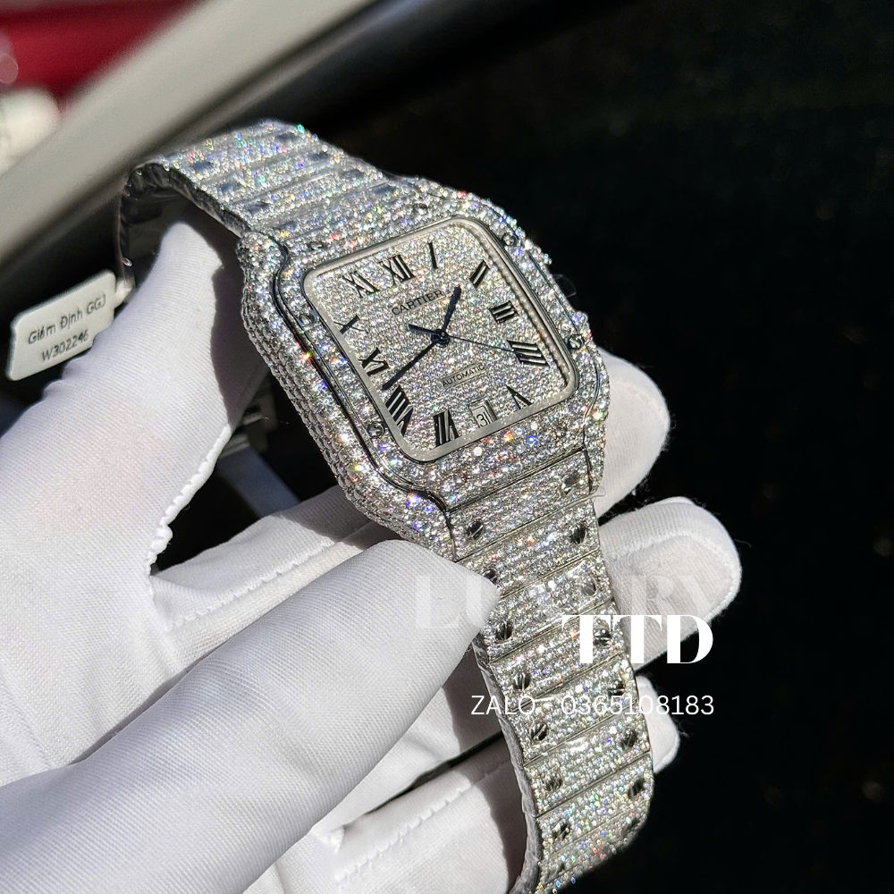 Cartier Santos de Cartier - Ảnh 2