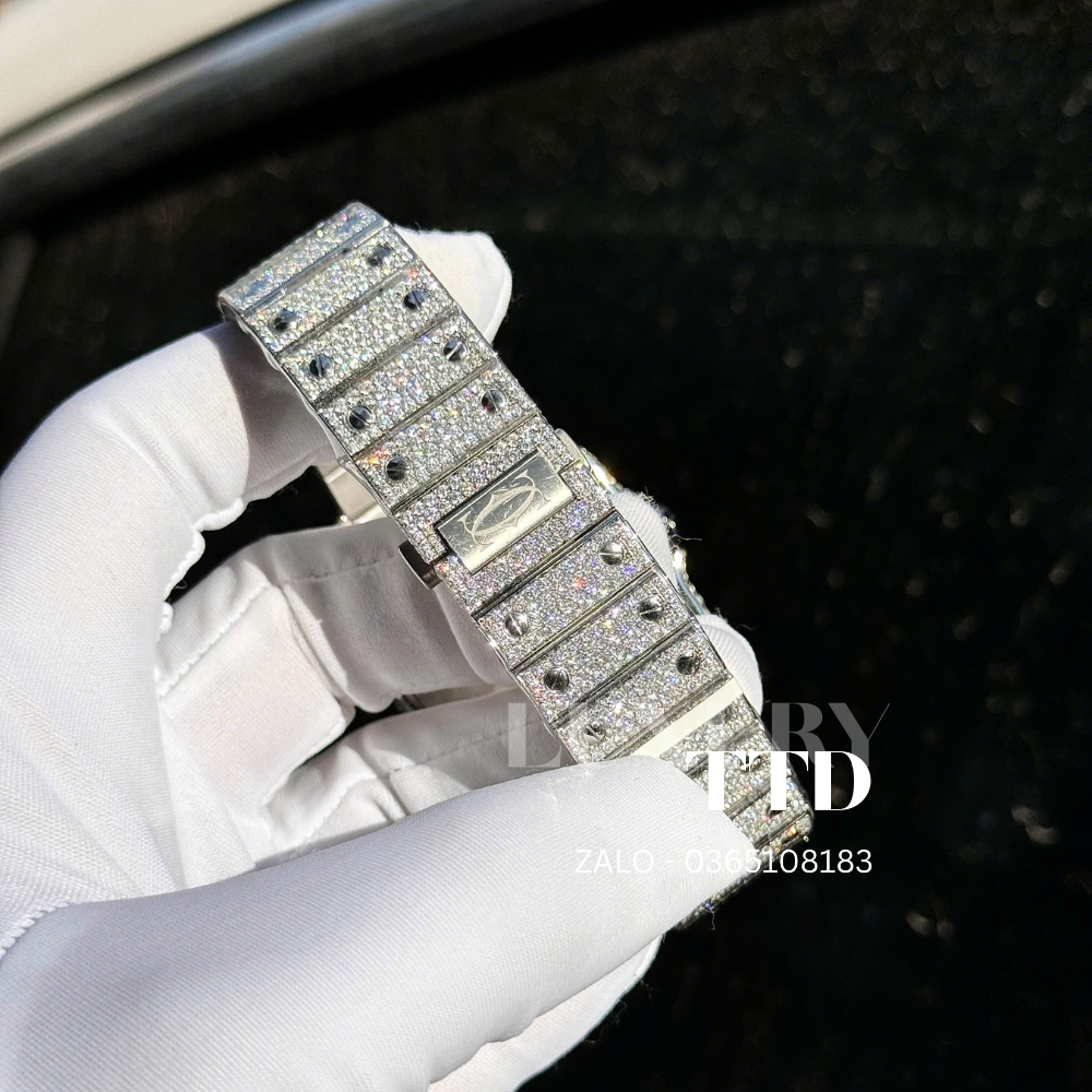 Cartier Santos de Cartier - Ảnh 5