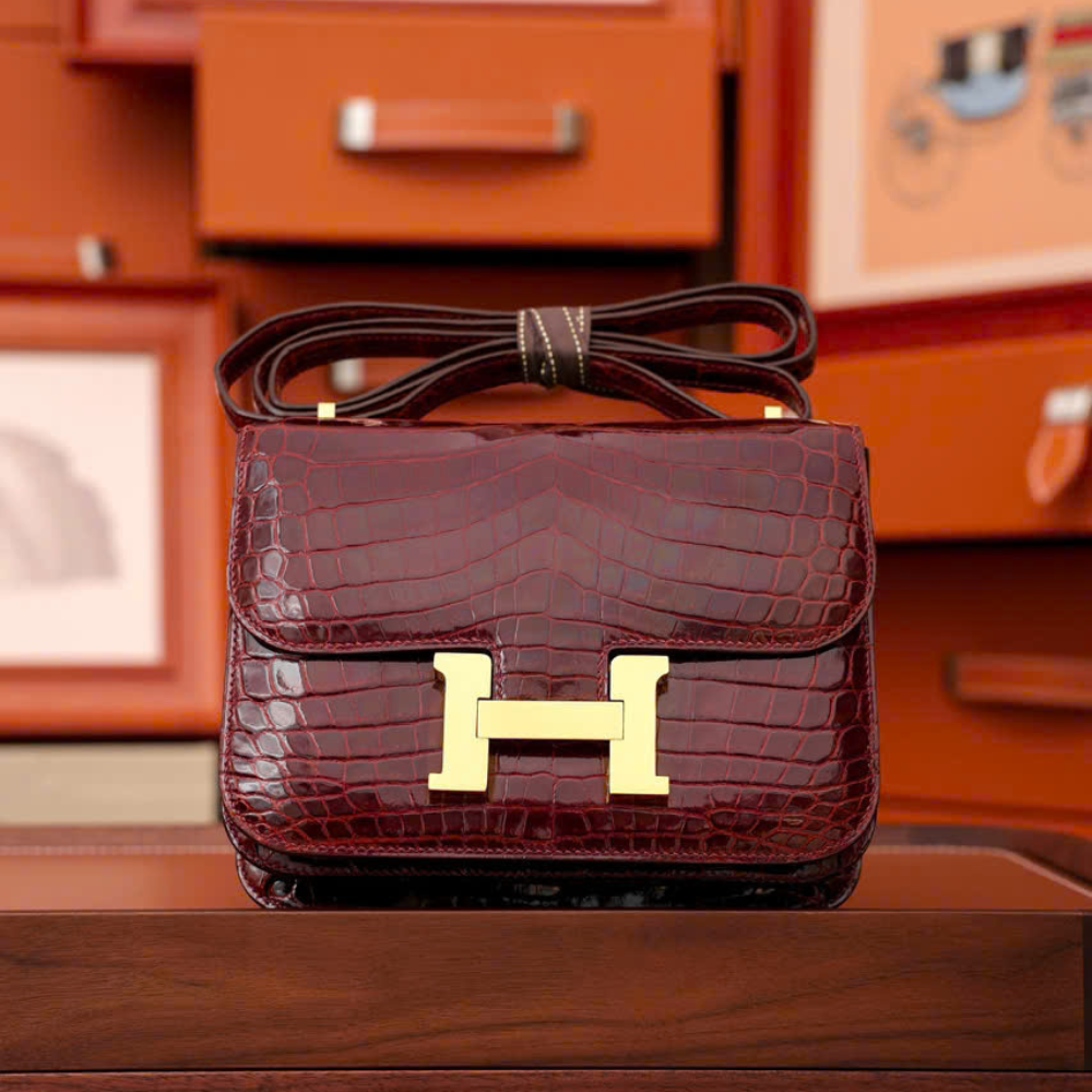 Constance 18' Da Crocodile - Ảnh 3