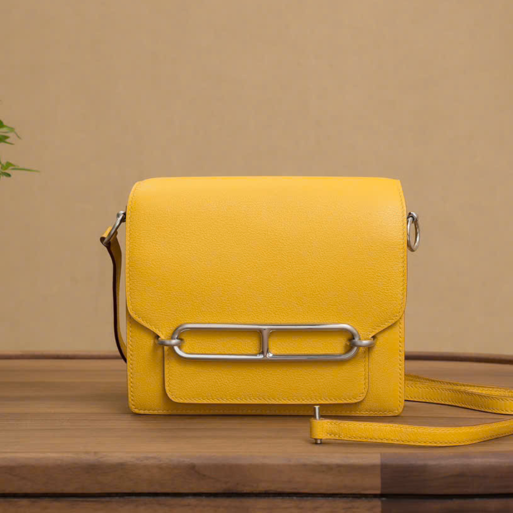 Hermès Roulis Mini - Ảnh 3