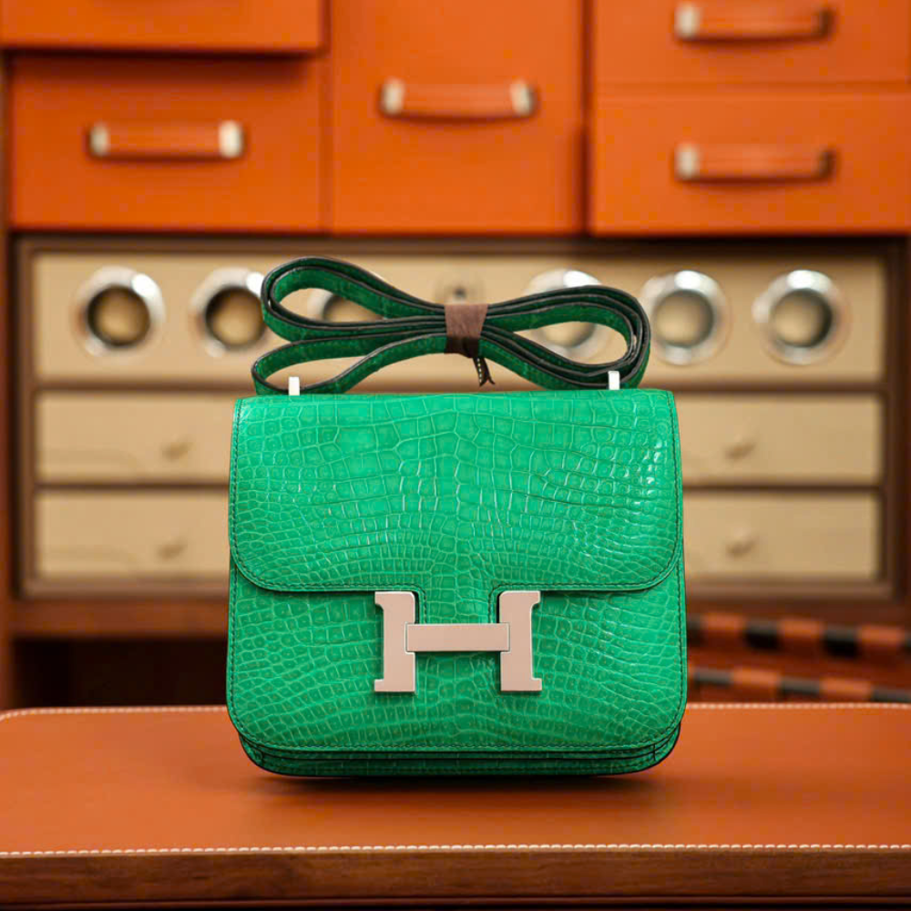 Constance 18' Da Crocodile - Ảnh 2