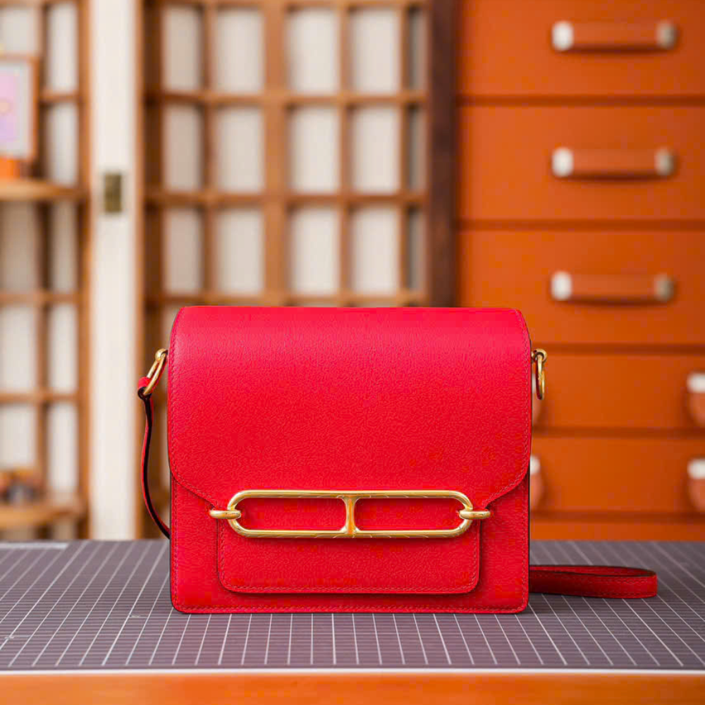 Hermès Roulis Mini - Ảnh 5