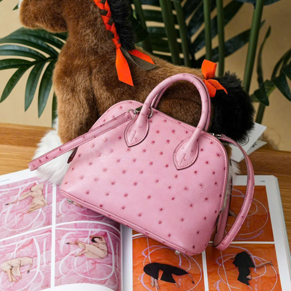 Hermès Bolide Mini - Ảnh 3